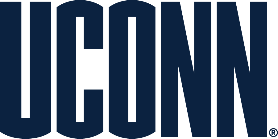 UConn Huskies 2010-2013 Secondary Logo v3 DIY iron on transfer (heat transfer)